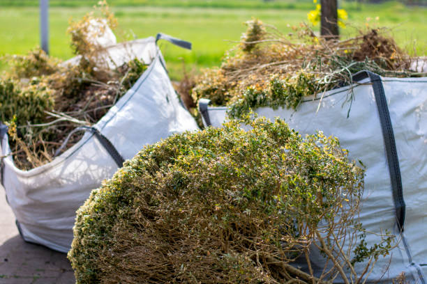 Best Junk Hauling Services  in Clifton, CO