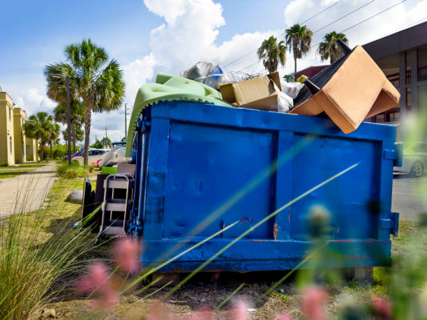 Best Basement Cleanout Services  in Clifton, CO